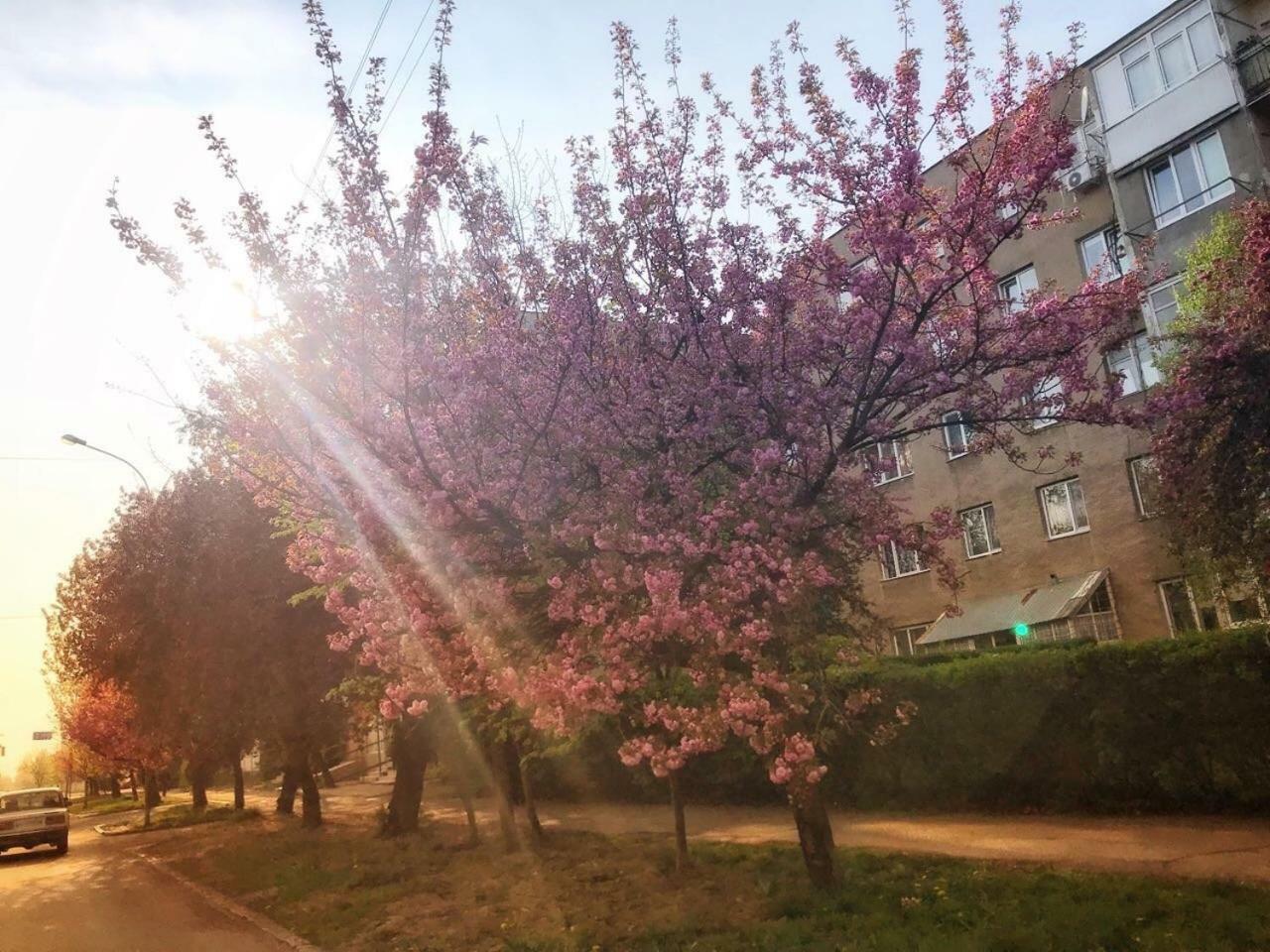 Арт Квартира В Центрі Міста Uzhhorod Luaran gambar
