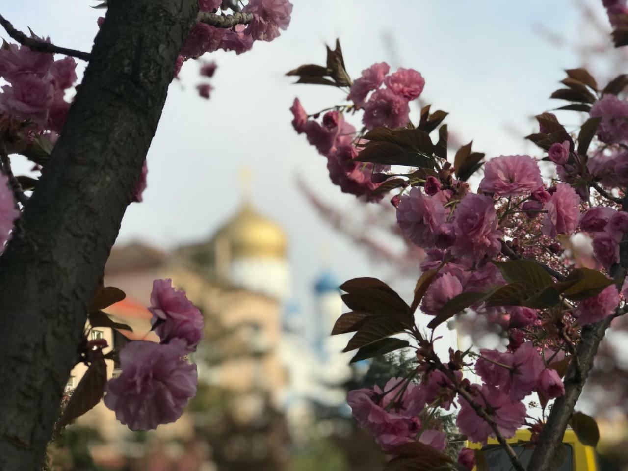 Арт Квартира В Центрі Міста Uzhhorod Luaran gambar