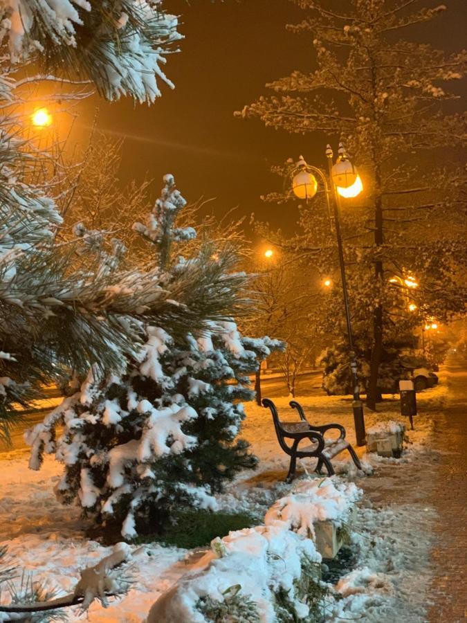 Арт Квартира В Центрі Міста Uzhhorod Luaran gambar